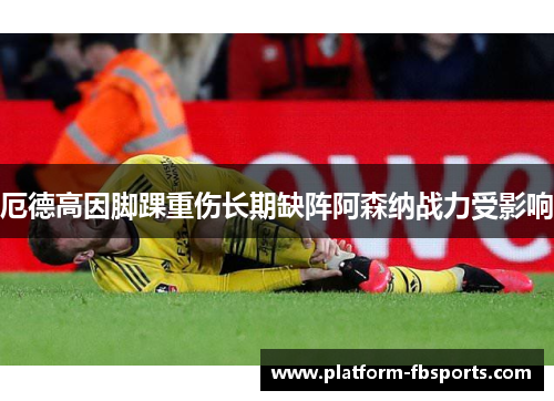 厄德高因脚踝重伤长期缺阵阿森纳战力受影响